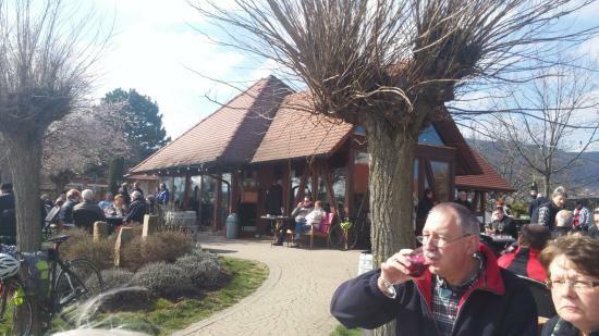 Weingut Bernhard Koch