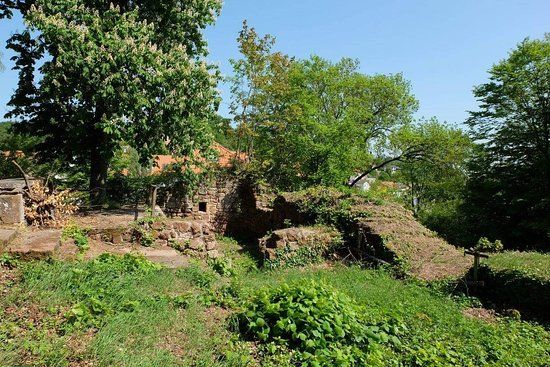 Burgruine Stauf