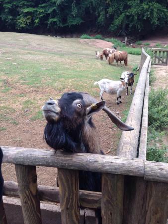 Wild- und Wanderpark