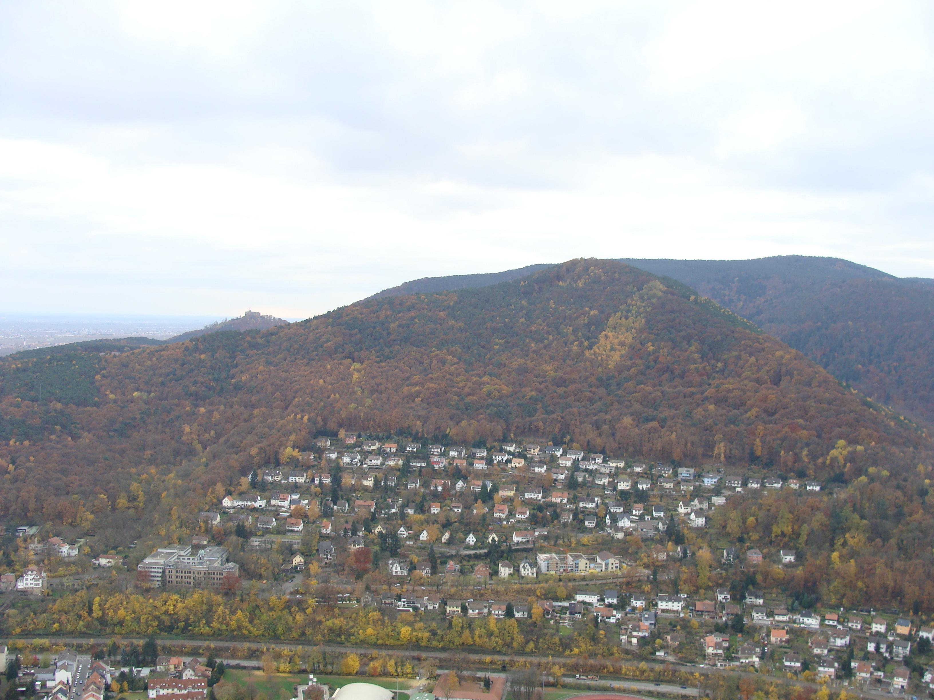 Nollenkopf