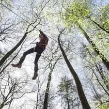 Waldkletterpark Bad Neuenahr