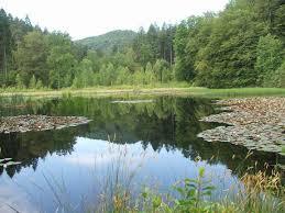 Moosbachtal