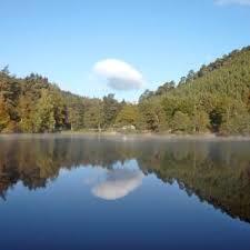 der Seehof-Weiher