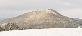 Burberg