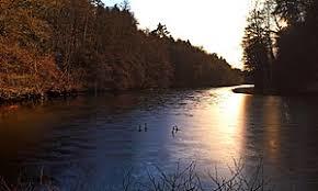 der Blechhammerweiher