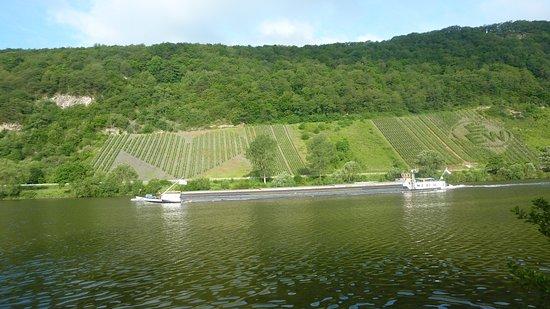 Weingut des Herzens