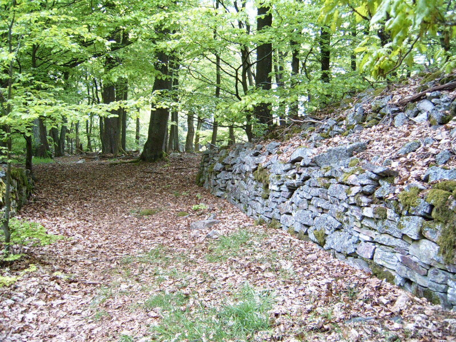 der Ringkopf