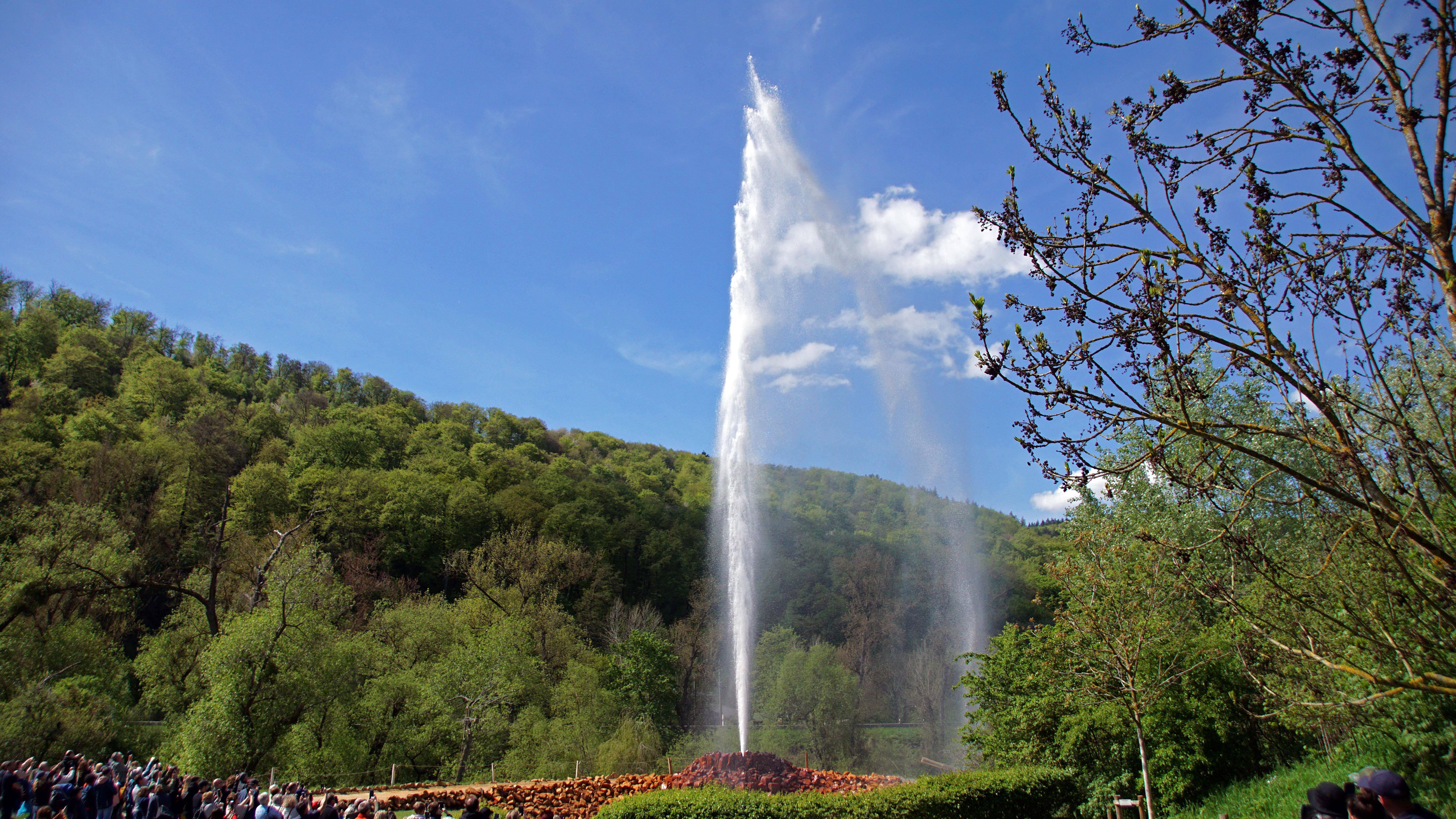 Geysir Andernach