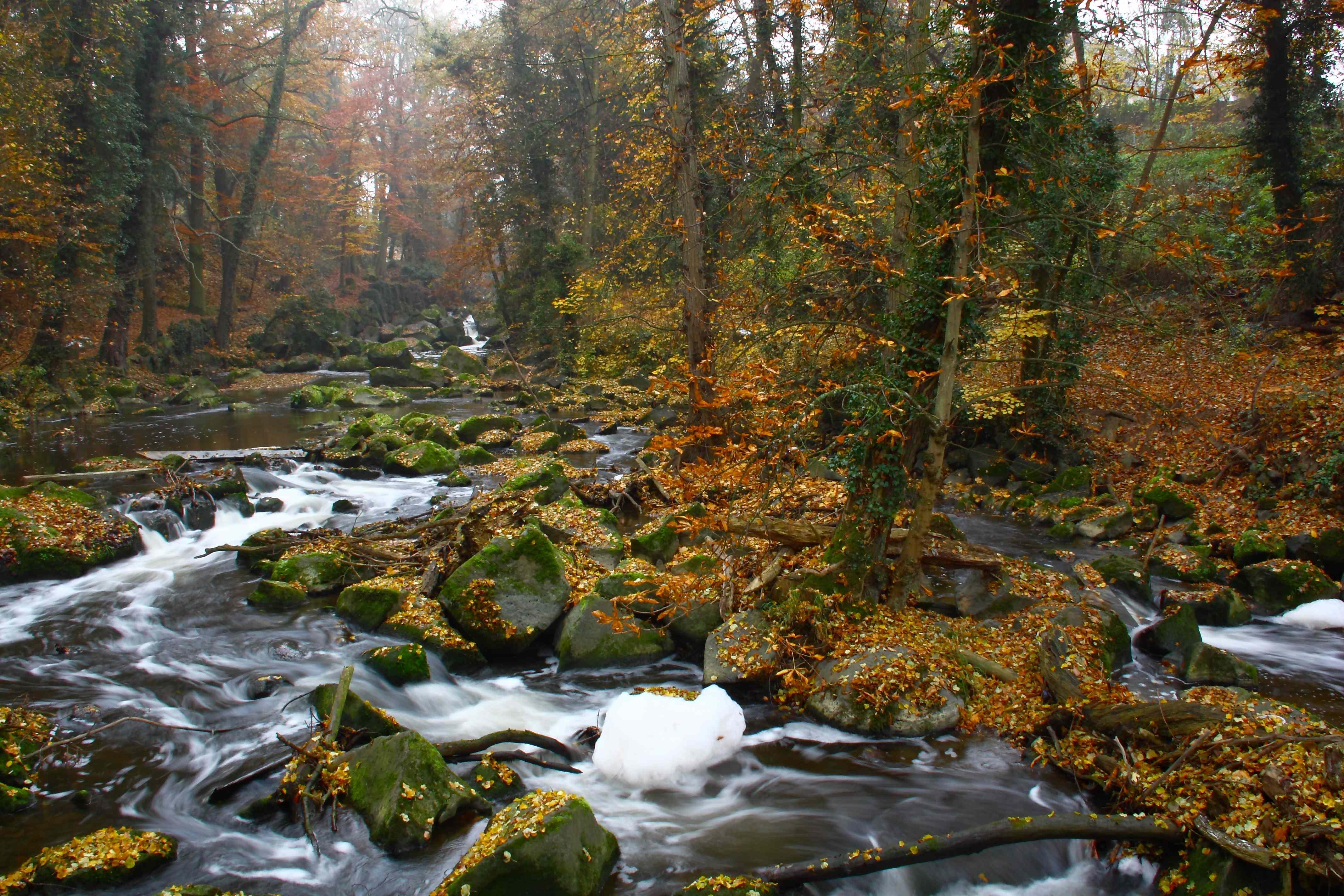 Rauscherpark