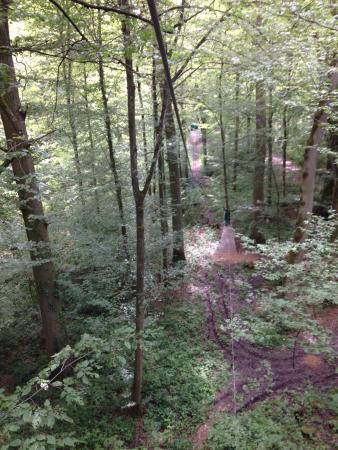 Fun Forest Abenteuerpark Kandel