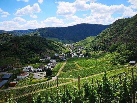 Rotweinwanderweg
