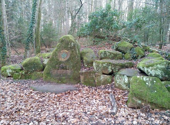 Wildpark Betzenberg