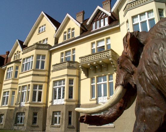 Museum MONREPOS