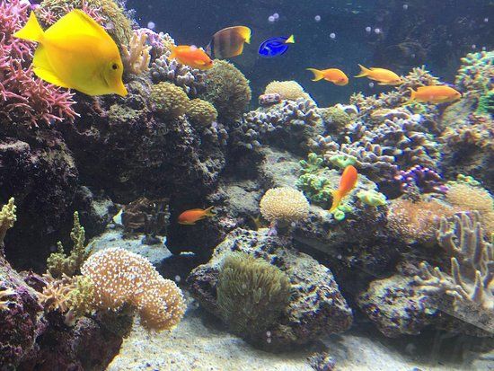 SEA LIFE Speyer