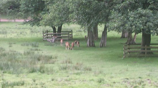 Kurpfalz-Park