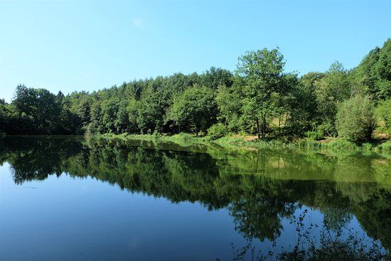 Schwarzweiher