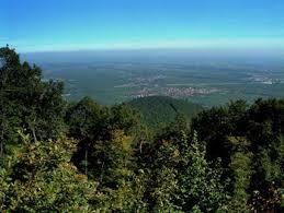 Kalmit