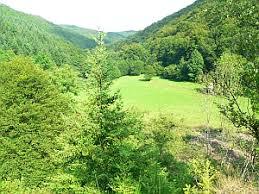 Nitztal