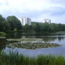 Erlenhofsee