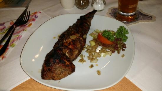 Kammerhof