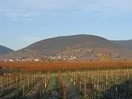 Breitenberg